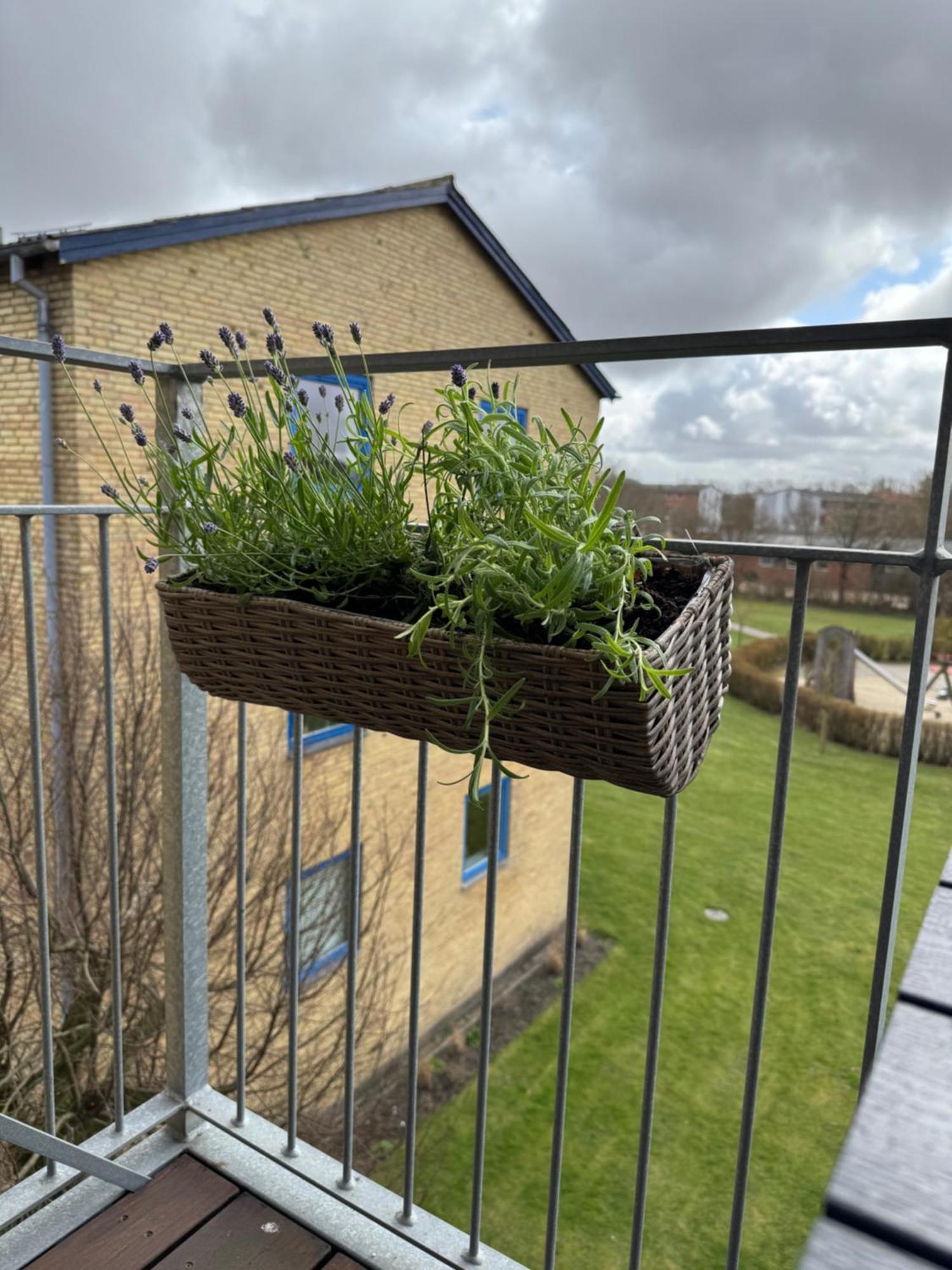 Stor Og Lys Lejlighed I Hjertet Af Holstebro Exteriér fotografie